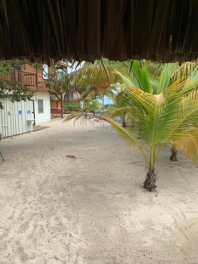 فيلا Placenciaفي Heavens Gate Beach Bungalows المظهر الخارجي الصورة